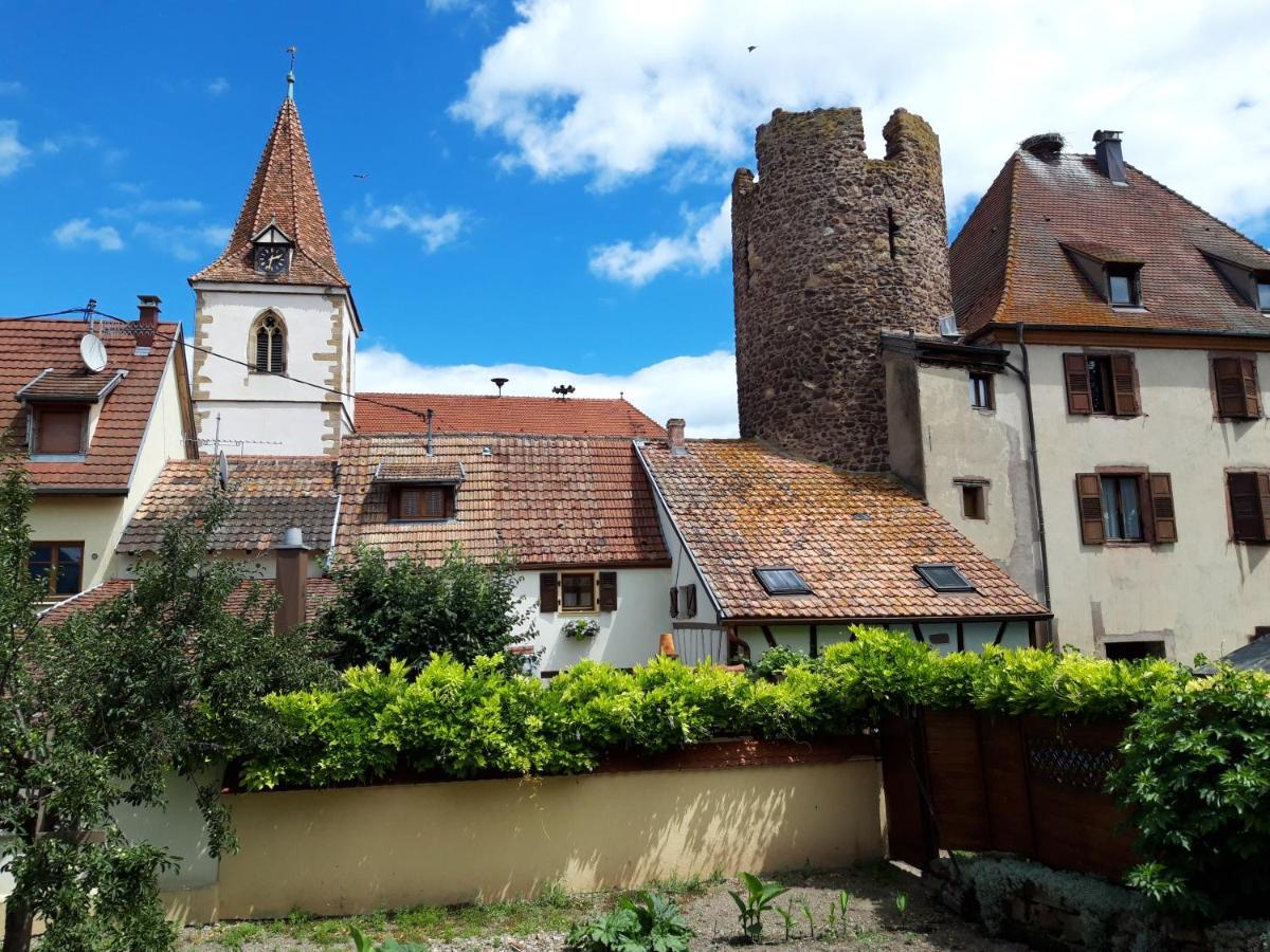 "La Vigne Dort" Cocon Romantique Apartment Herrlisheim-pres-Colmar Exterior photo