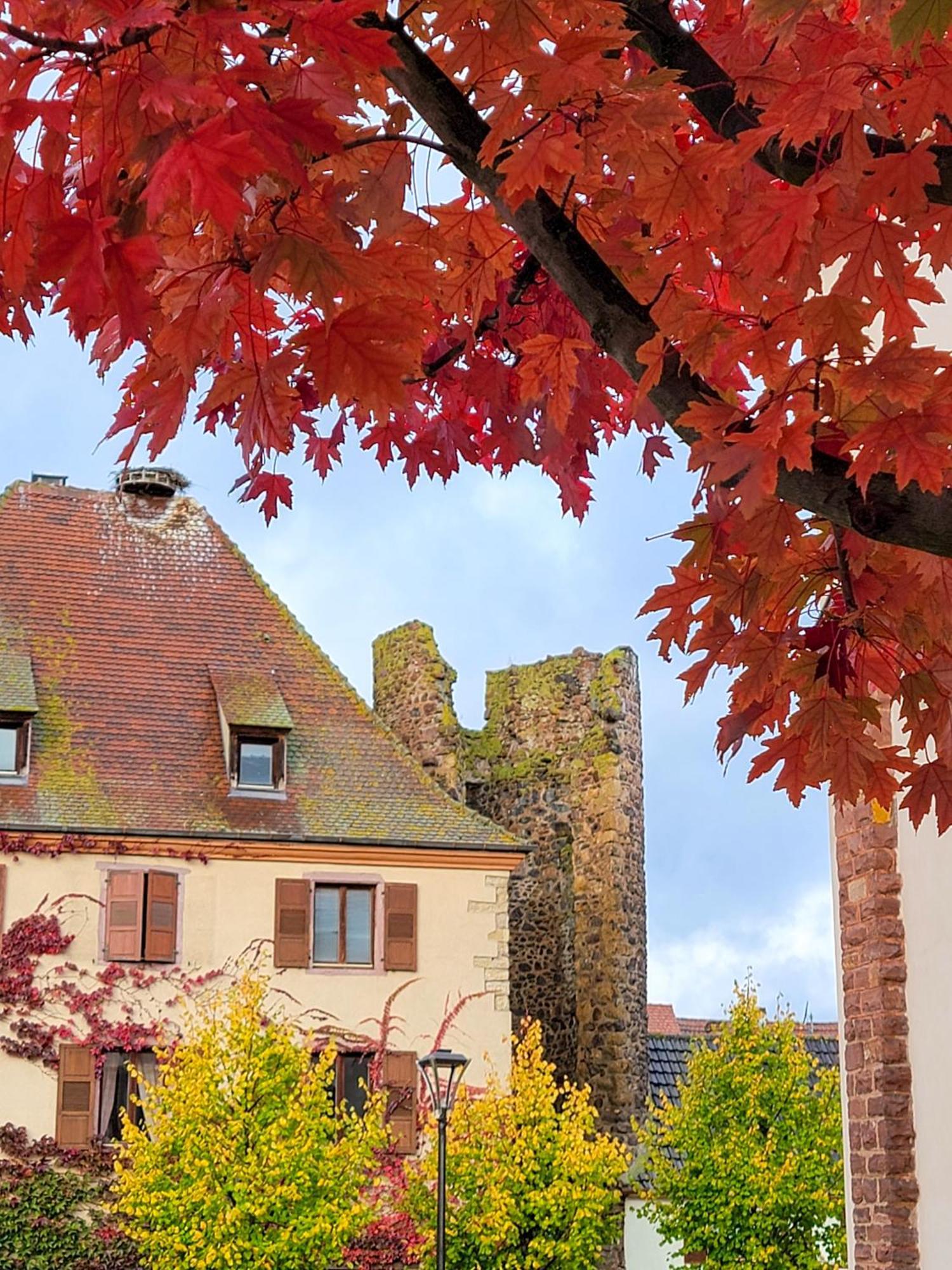 "La Vigne Dort" Cocon Romantique Apartment Herrlisheim-pres-Colmar Exterior photo